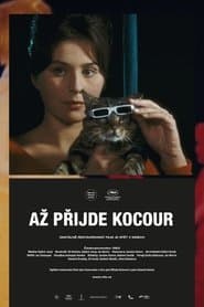 Až přijde kocour