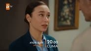 Серія 20