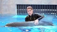 Accidentally on Porpoise