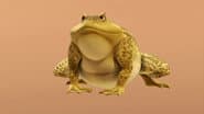 One Big Frog