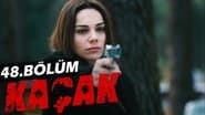 Серія 14