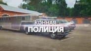 Серія 12