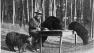Серія 5