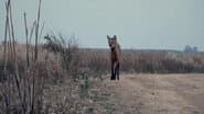 Серія 11