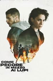 Come pecore in mezzo ai lupi