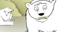 Teenage Polar Bear Cam