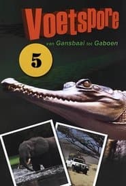 Сезон 5