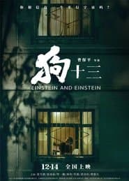 狗十三