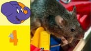Серія 319