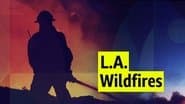 The inferno that woke the world