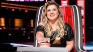 Blind Auditions Premiere, Part 3