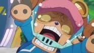 Destroy Egghead - The Buster Call Is Invoked