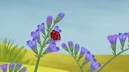 Серія 15