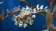 Bizarre Breeding