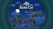 Sand Cat