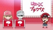 Special 1 - Petit Quiz