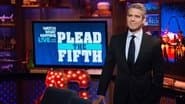 Plead the Fifth Volume 2