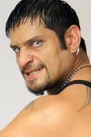 Cibernetico