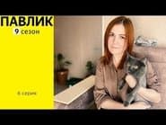 Серія 6