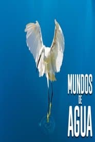 Mundos de agua