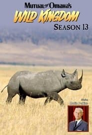 Season 13