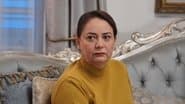 Серія 23