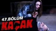 Серія 12