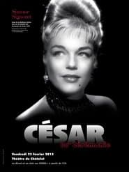 Сезон 38