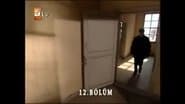 Серія 12
