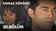 Episode 20