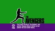 Did you know? (12) The Superlative Seven (s05e12)