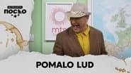 2429 Pomalo lud
