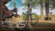 Серія 25