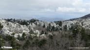 Серія 1