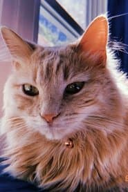 Kitty #1