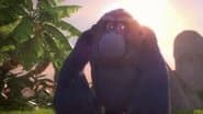 Beware of the Gorilla