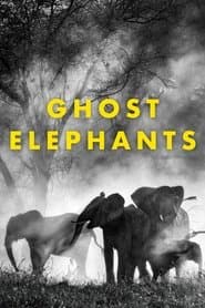 Ghost Elephants