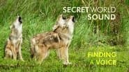 Secret World of Sound: Finding a Voice