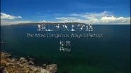 Серія 4