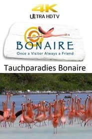 Tauchparadies Bonaire