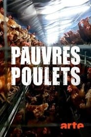 Armes Huhn – armer Mensch