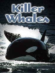 Killer Whales: Up Close and Personal
