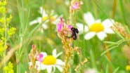 Plant Britain Spring Special