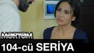 Серія 104