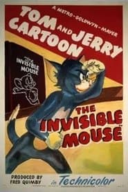 The Invisible Mouse