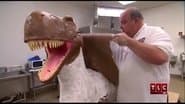 Paleontology & Popping the Question