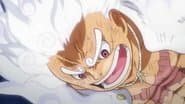 The World That Luffy Wants!