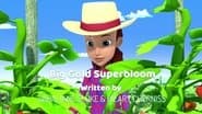Big Gold Superbloom