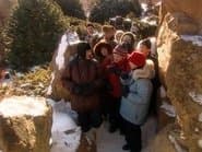 Серія 15