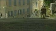 Elisa and Patrizio